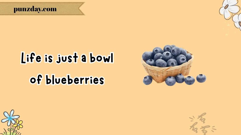 Classic Blueberry Puns