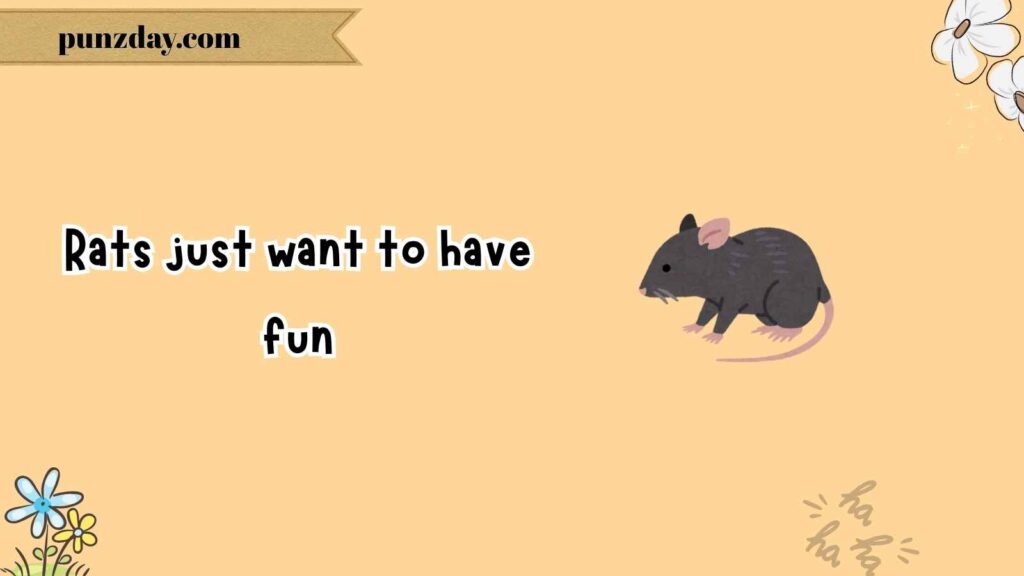 Classic Rat Puns