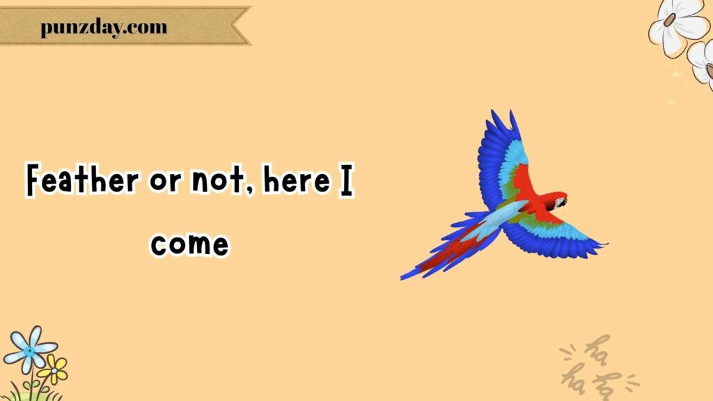 Funny Bird Puns for Instagram Captions