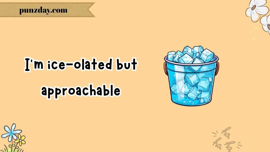 Funny Icebreaker Puns