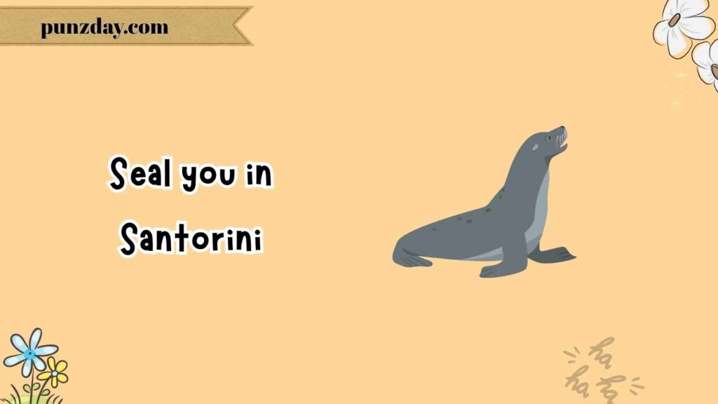 Seal Puns for Travel Lovers
