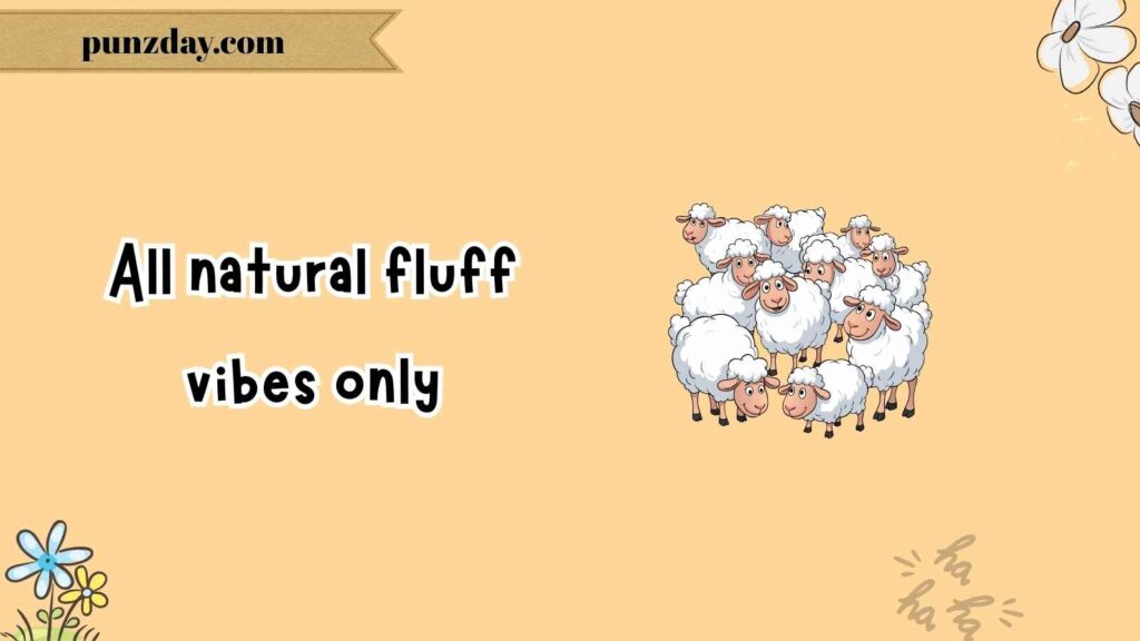 Sheep Puns for Instagram Captions