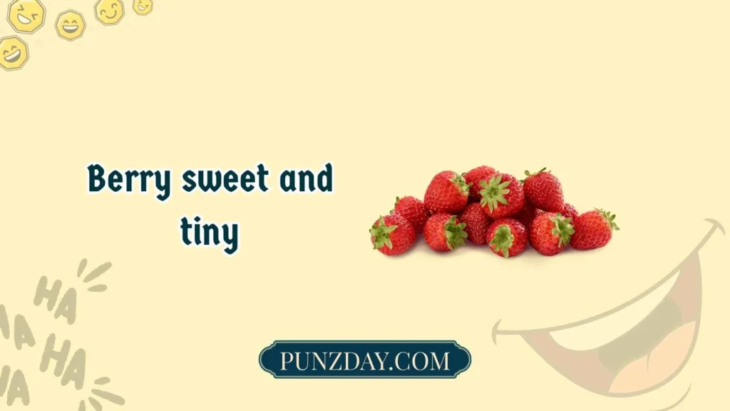 Short blueberry puns 🫐