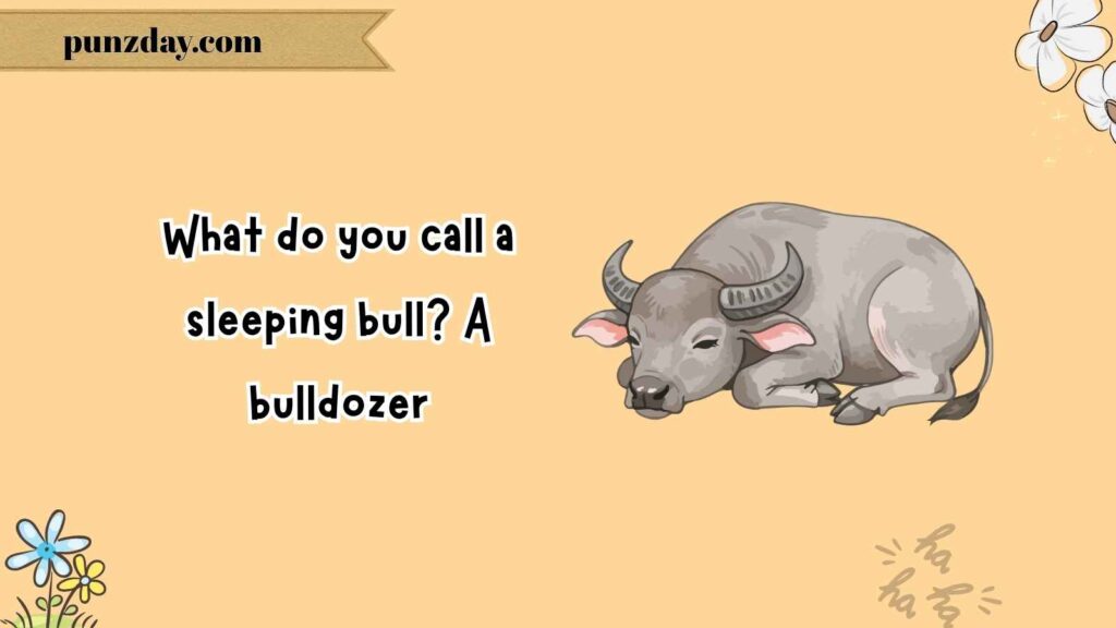 Animal Jokes for 6–7 year olds Kids