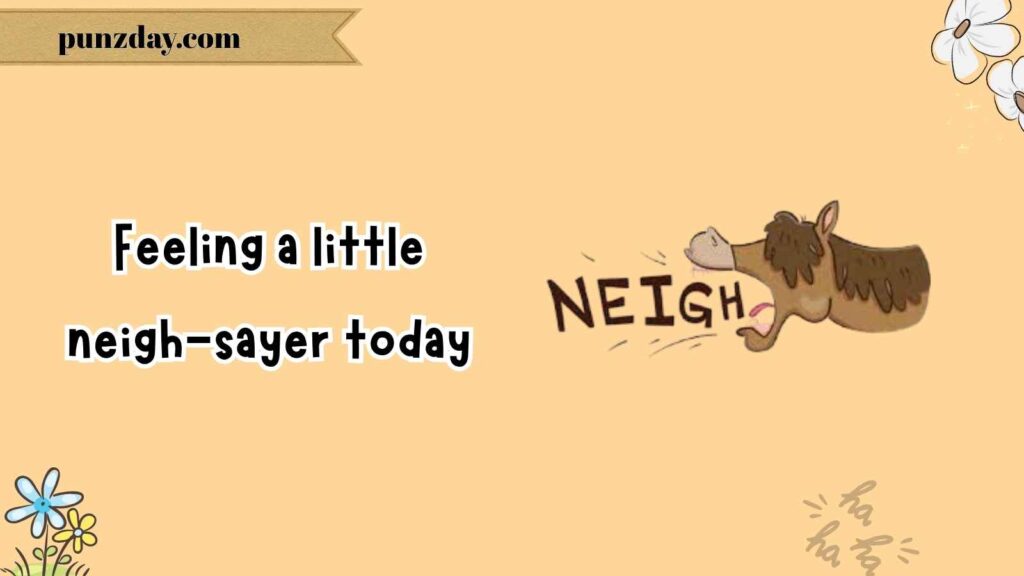 Donkey Puns for Everyday Laughs