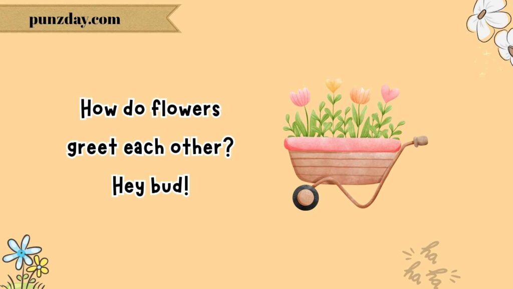 Flower Jokes for Kids