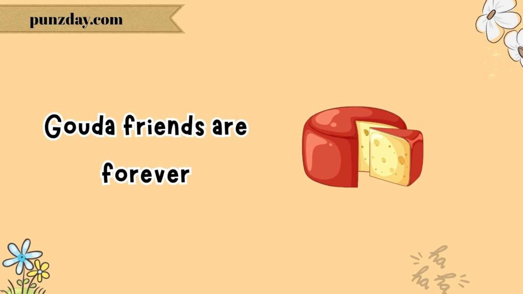 Gouda Jokes That Are Too Gouda to Miss