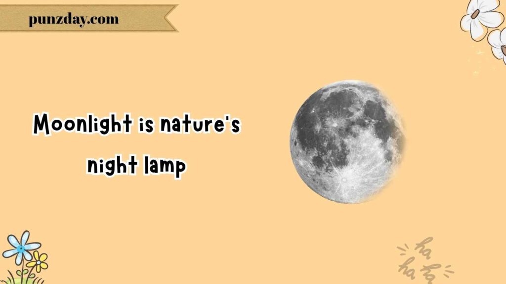 Moonlight Puns
