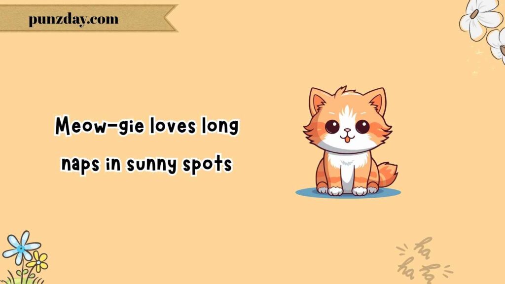 Puns About Cat Names