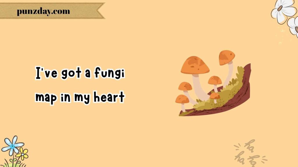 Travel-Themed Mushroom Puns