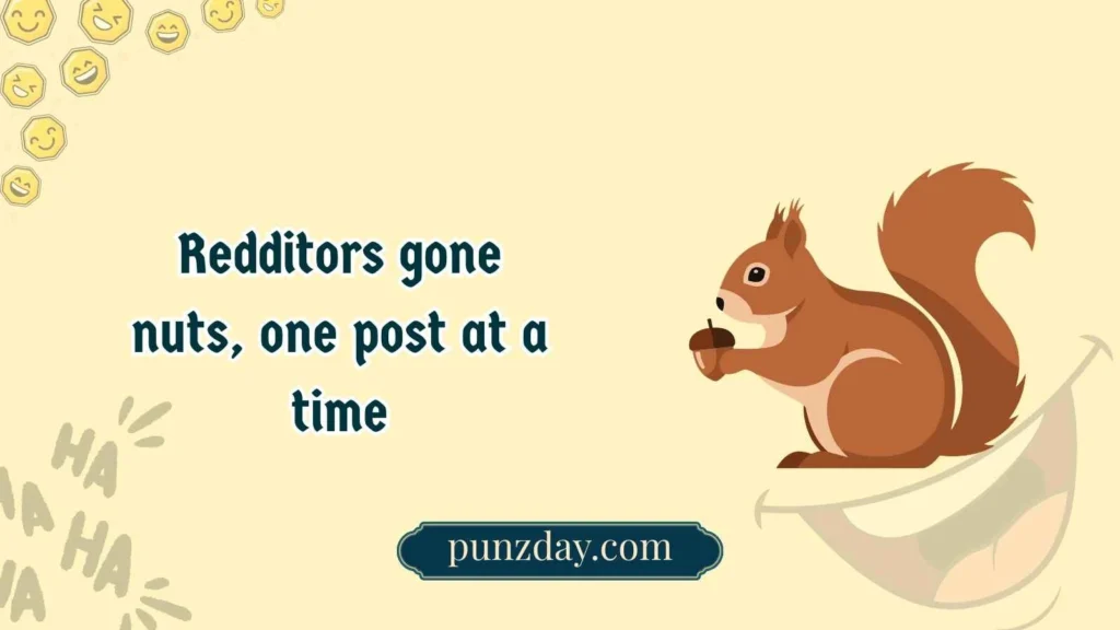 Squirrel jokes reddit