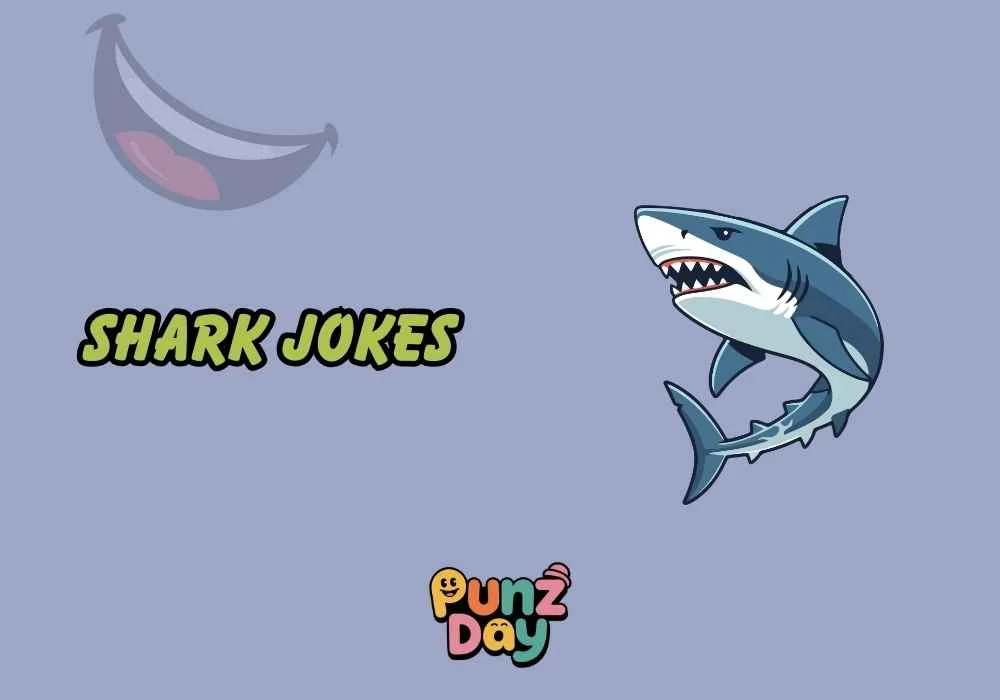 Reddit shark jokes