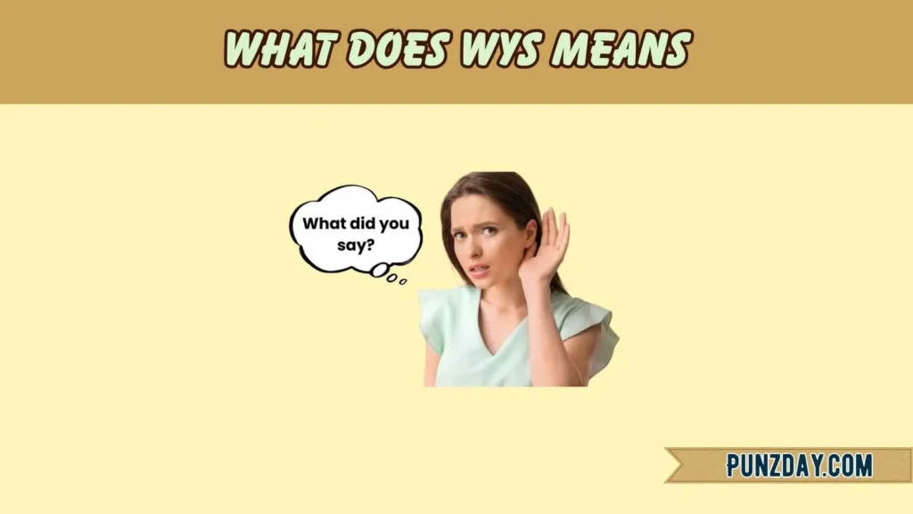 What Does WYS Means