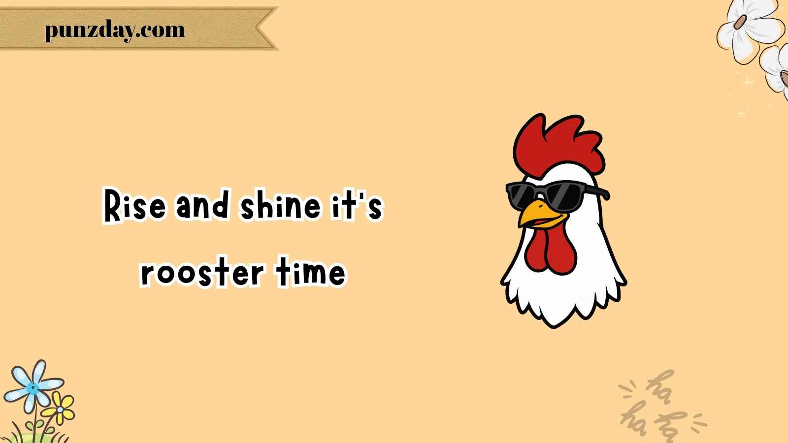 chicken jokes