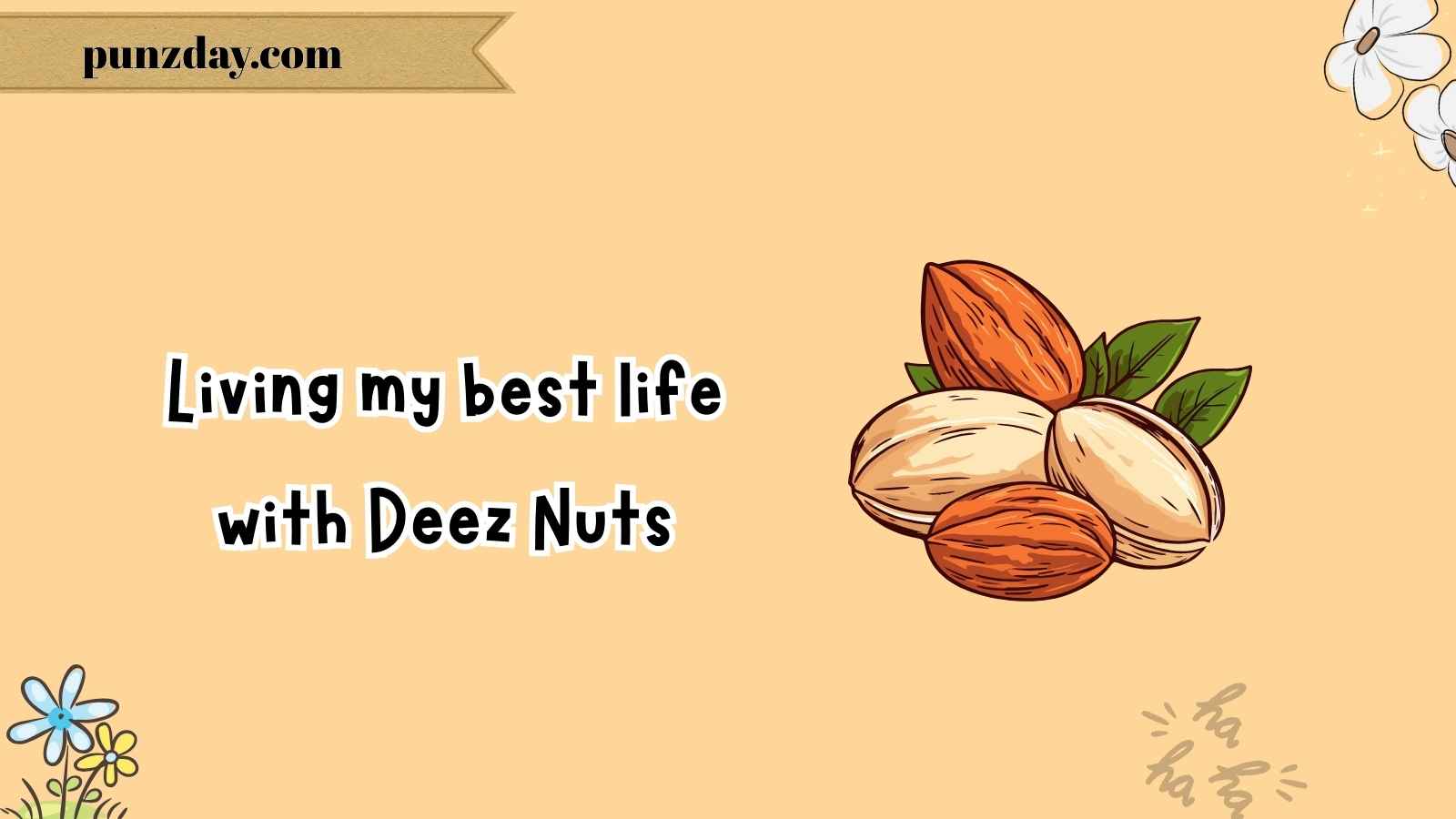 deez nuts jokes