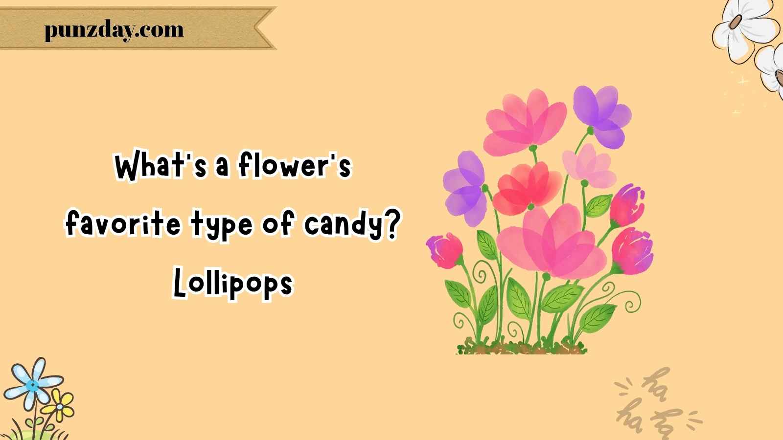 Spring jokes for kids