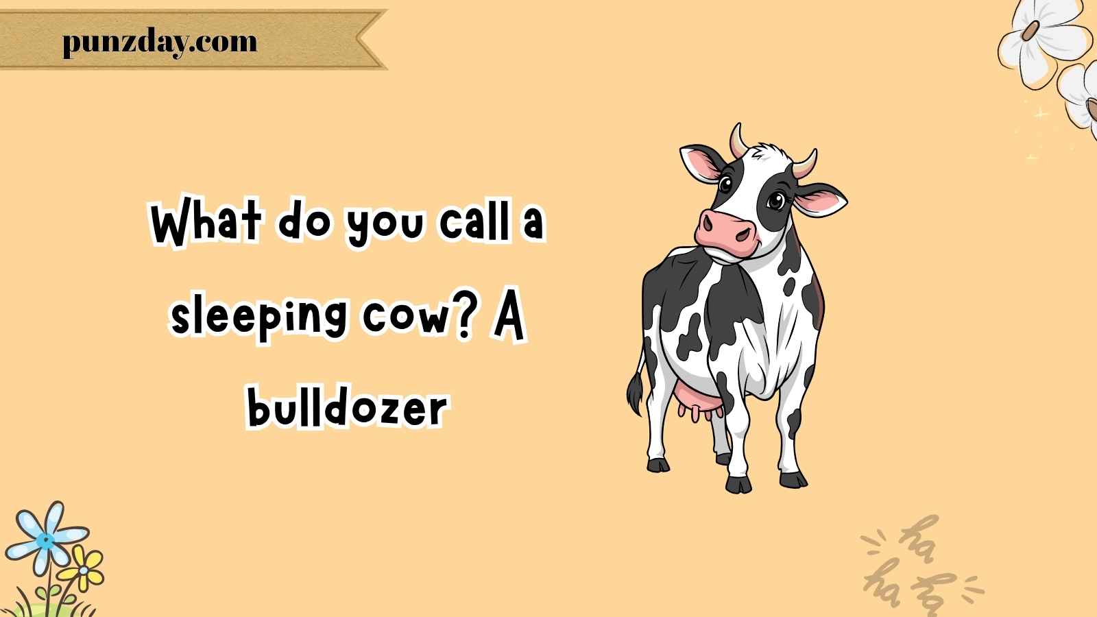 cow puns