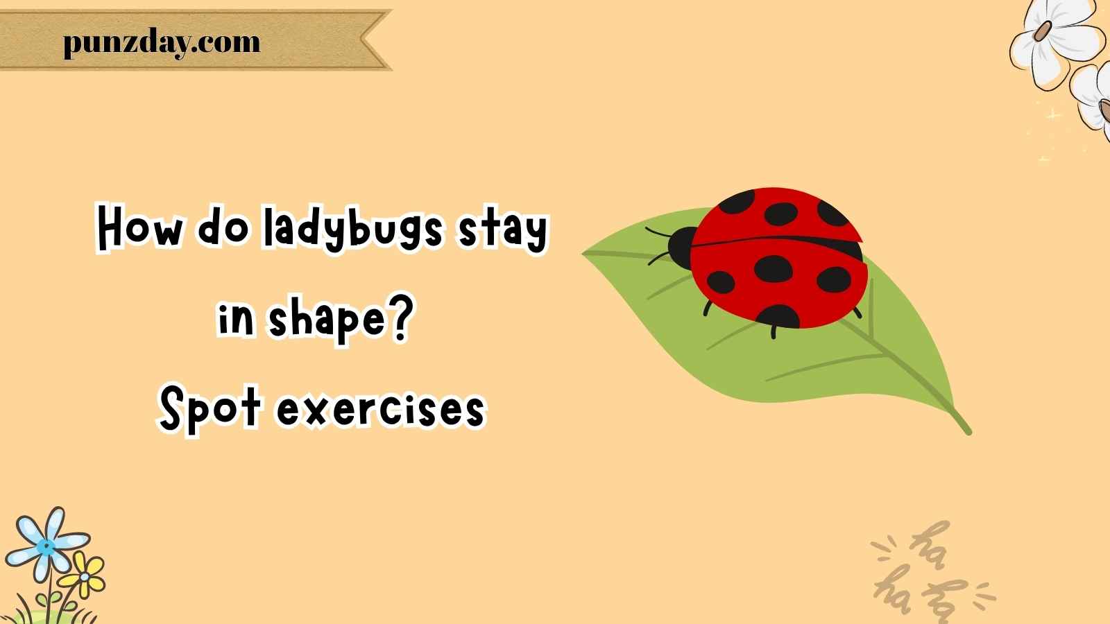 Ladybug puns