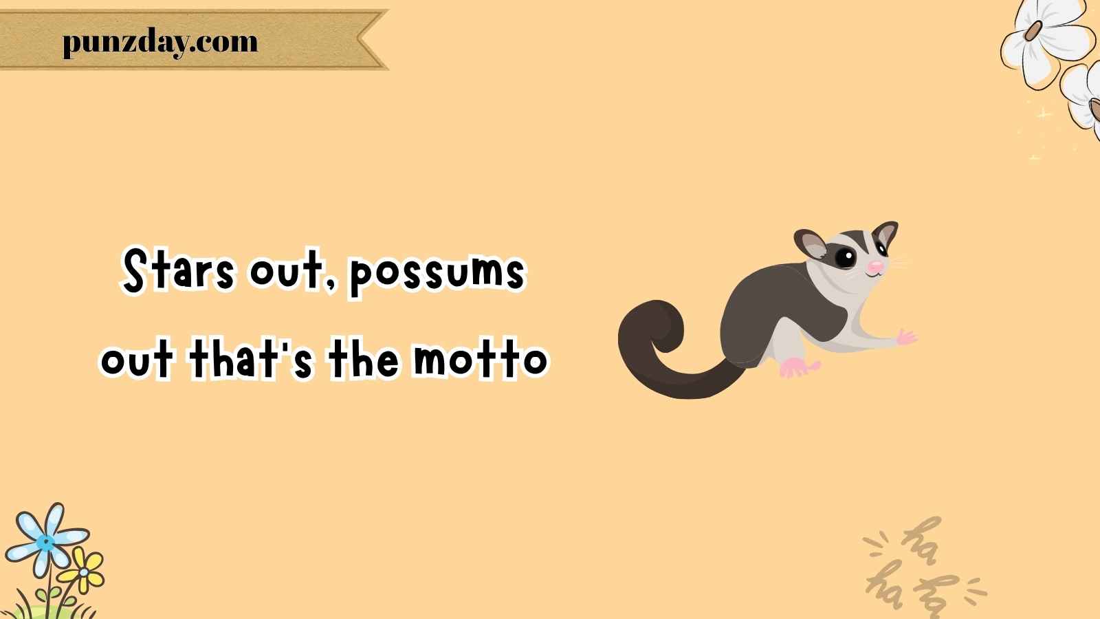 possum puns