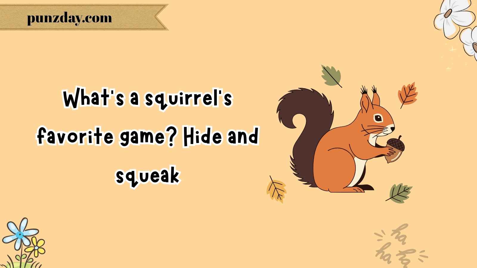 squirrel jokes
