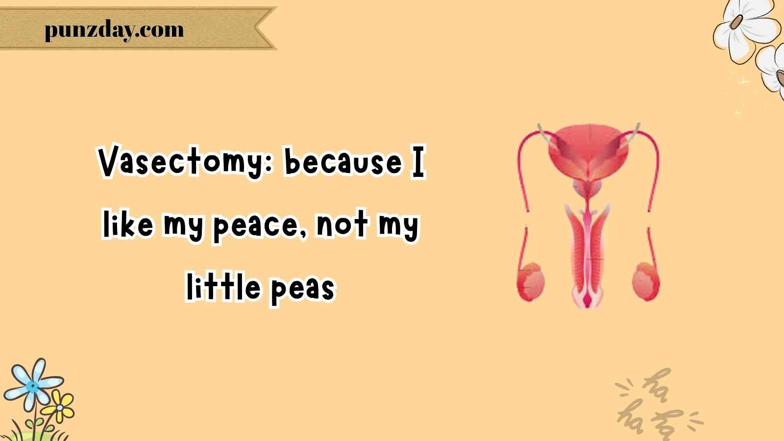 Vasectomy jokes