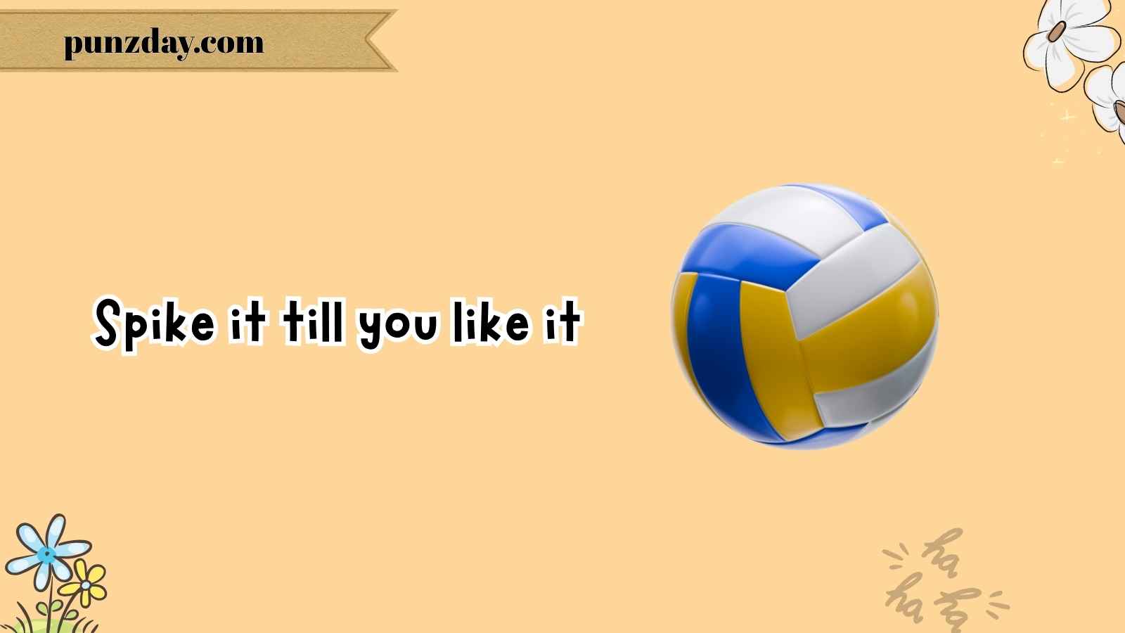 volleyball puns