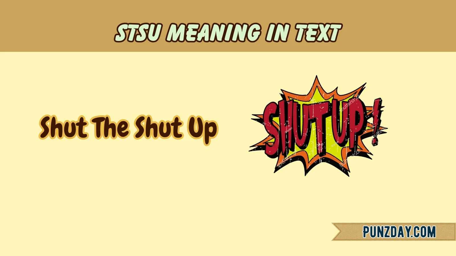 stsu meaning in text