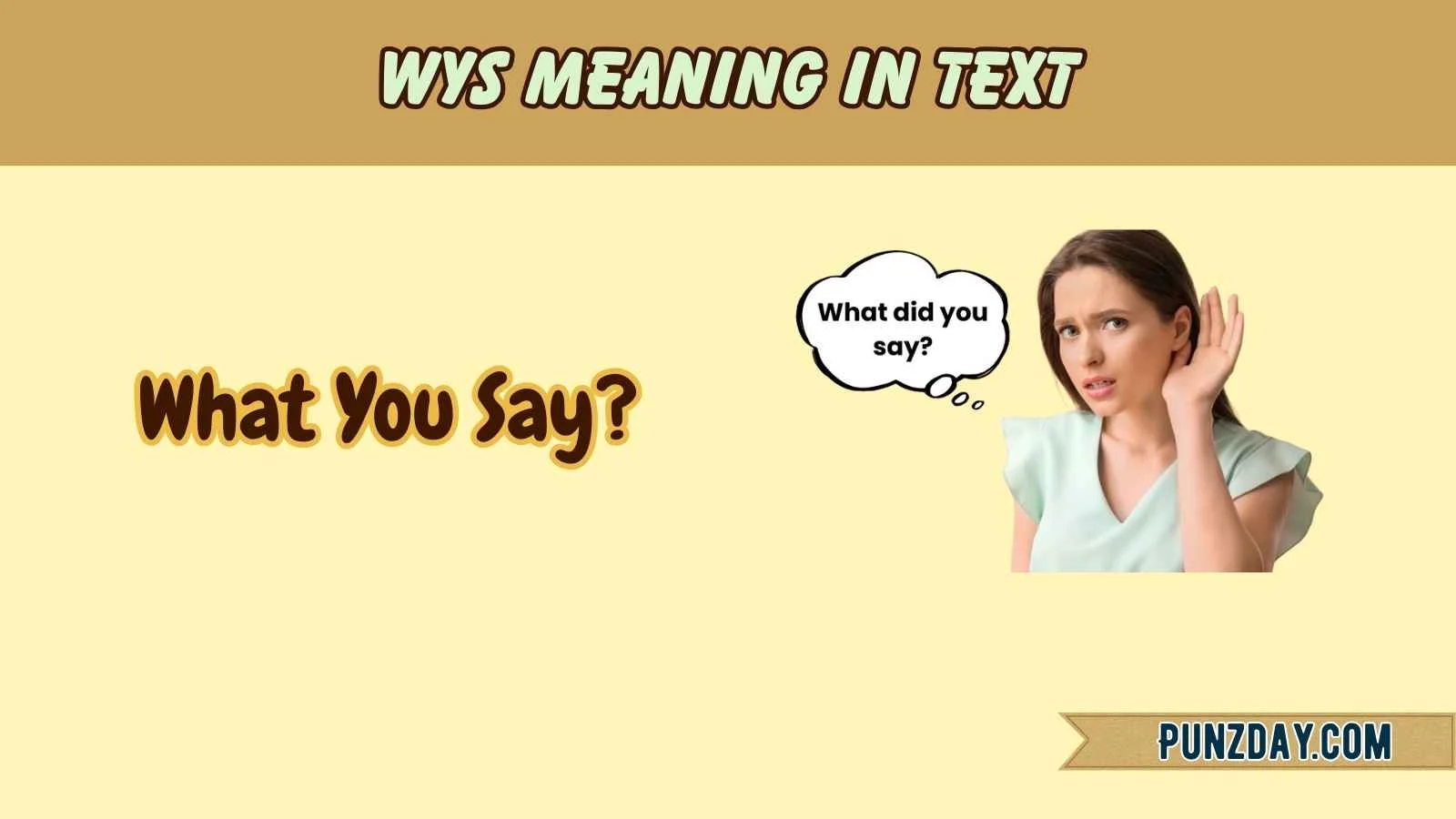 WYS Meaning in Text