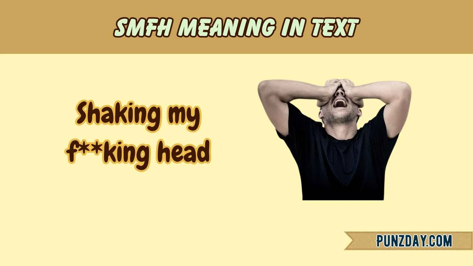 smfh meaning in text