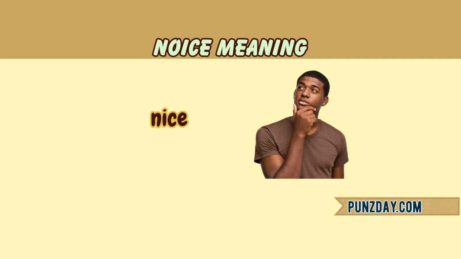 noice meaning