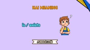 hai meaning