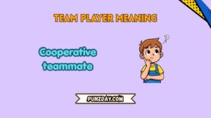 team player meaning