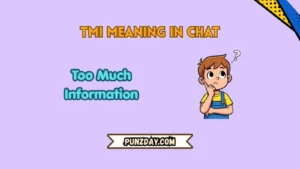 tmi meaning in chat