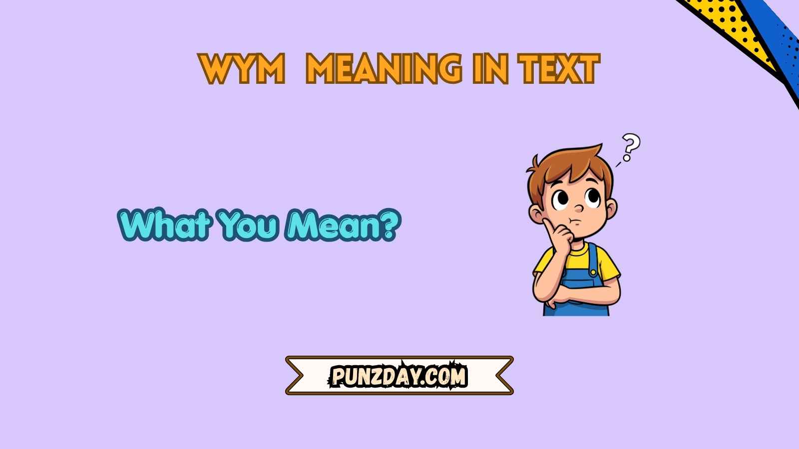 wym meaning in text